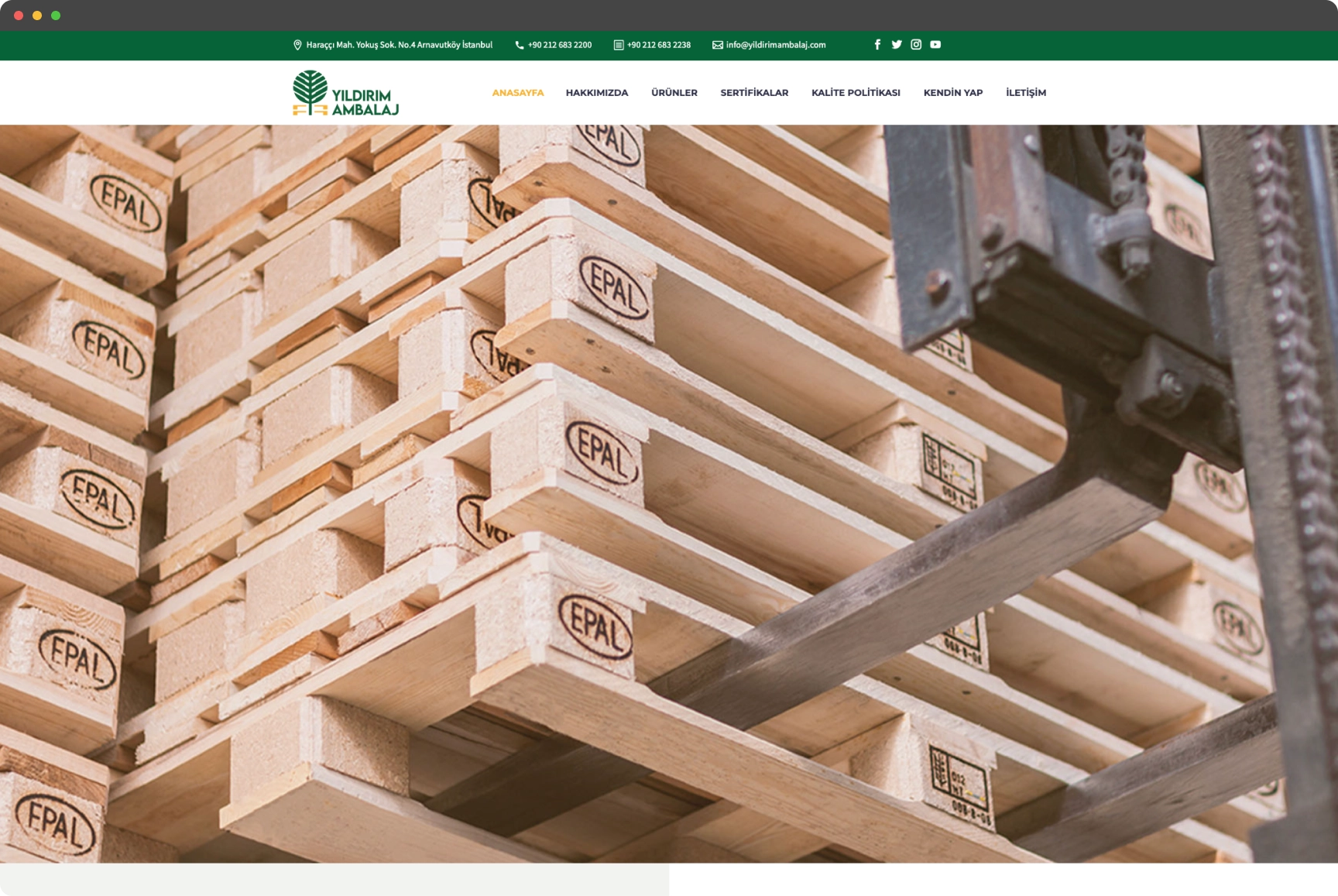 Website Home Page
